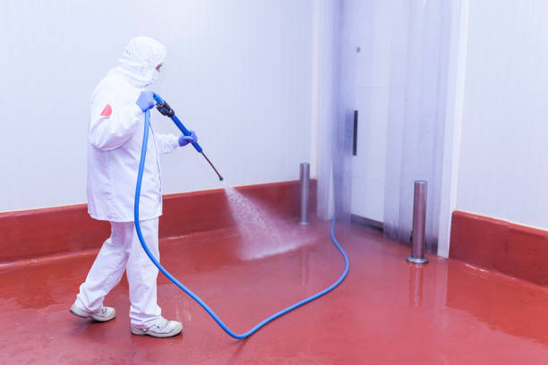 Best Driveway Cleaning and Restoration in Godfrey, IL